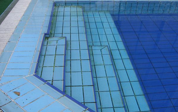 Очень запущенный, видны образования биопленки, обрастание водорослями и различные минеральные отложения на стенках и швах плитки